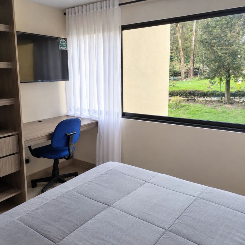 Habitación Select con escritorio, estantería abierta, TV en la pared y ventanales hacia zona verde.
